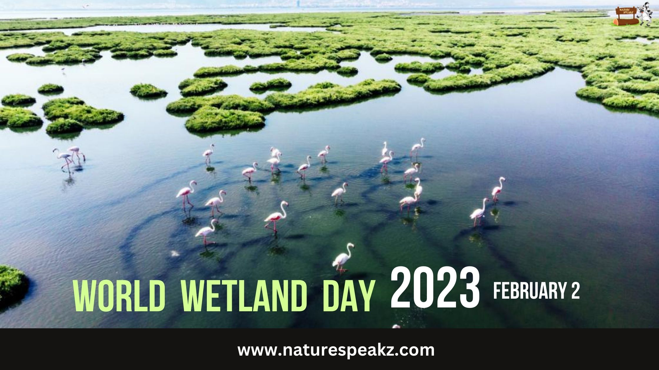 World Wetland Day 2023 - Theme, History, Significance