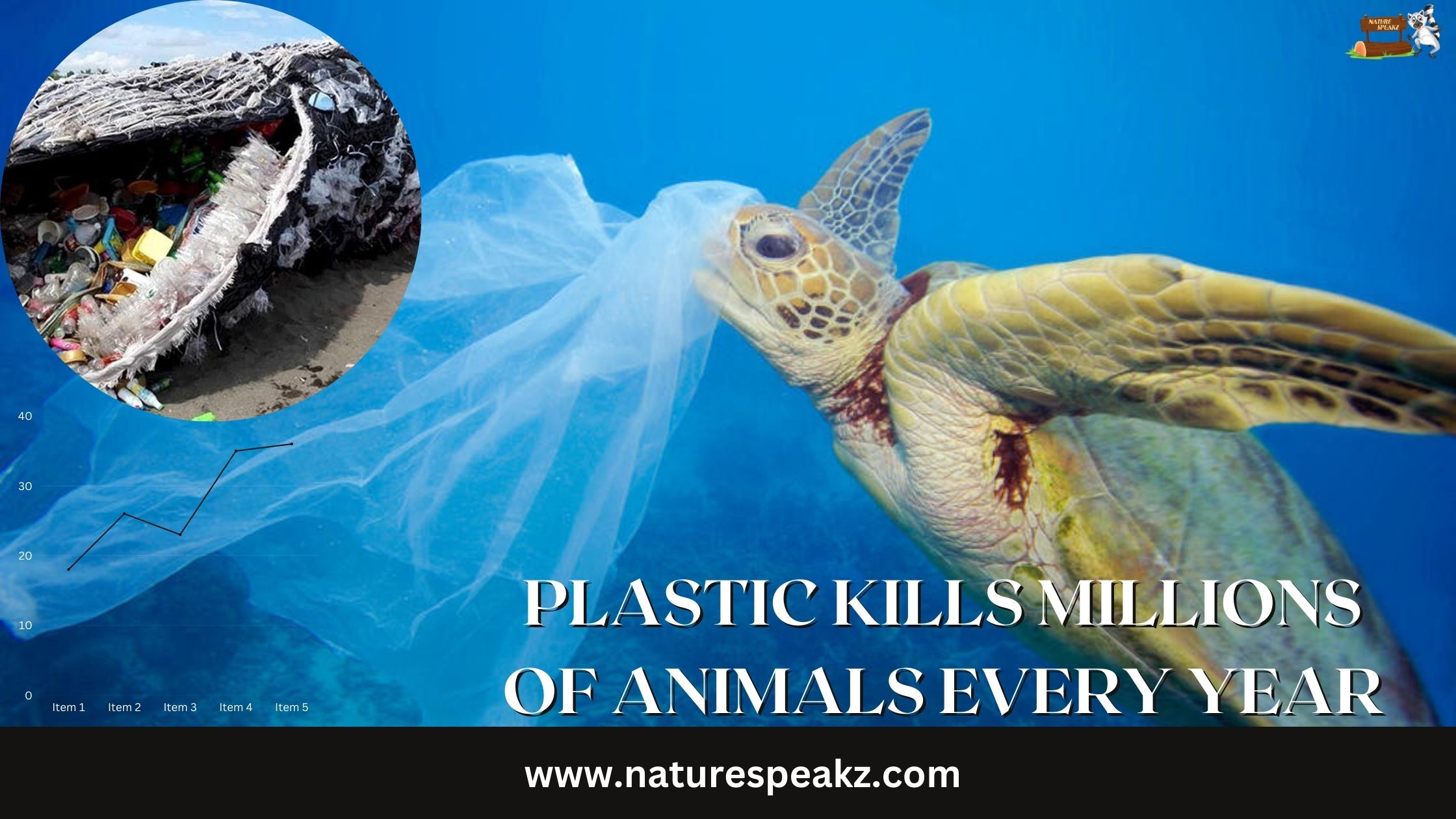 Plastic kills millions of Animals