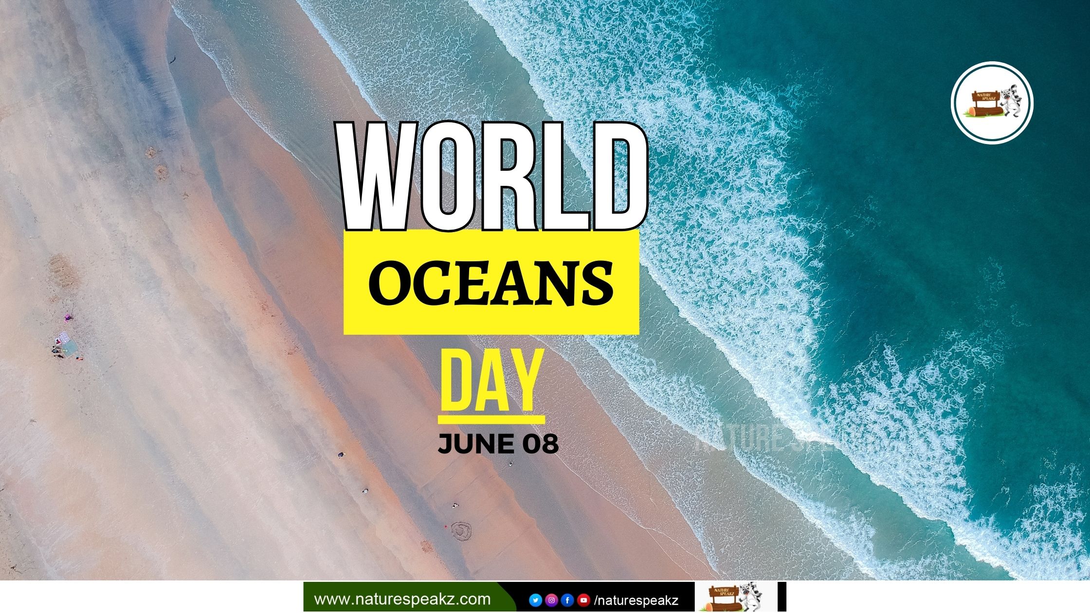 World Ocean Day