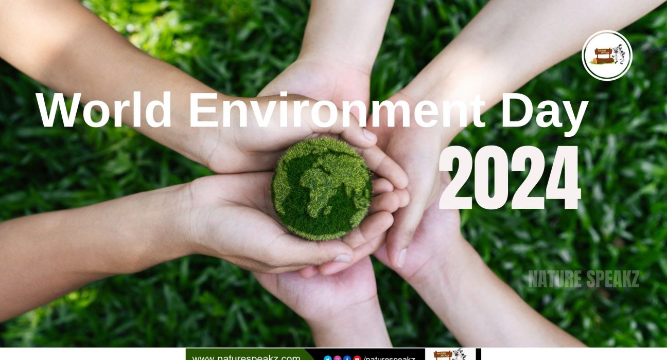 World Environment Day 2024