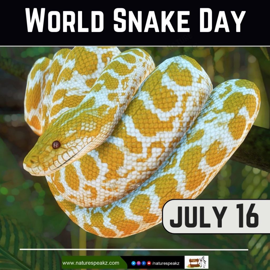 world snake day