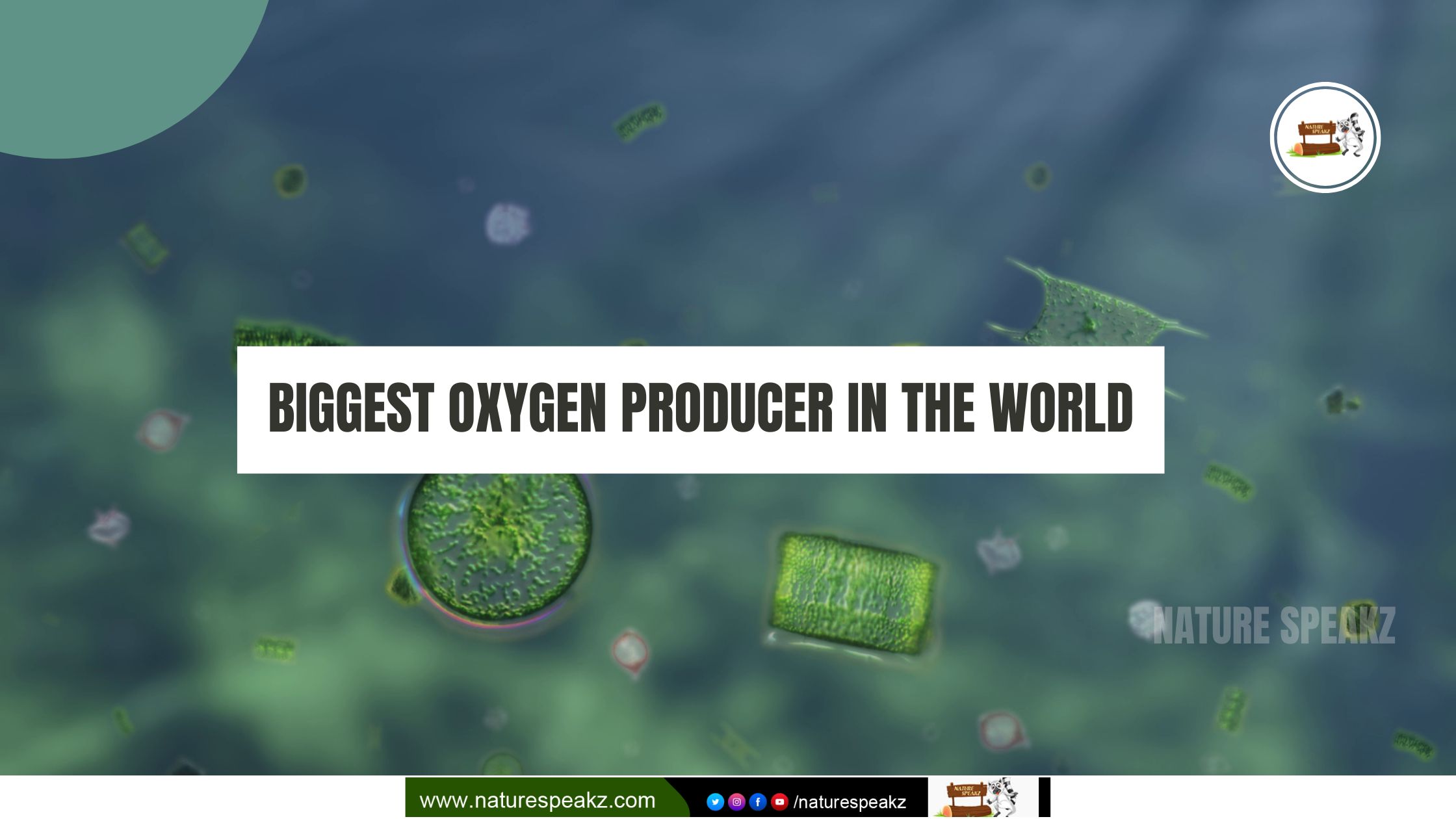 Biggest Oxygen Producer In The World