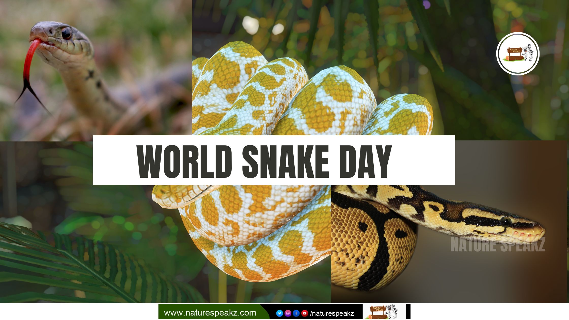 World Snake Day