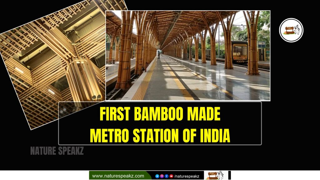 First Bamboo Made Metro Station of India