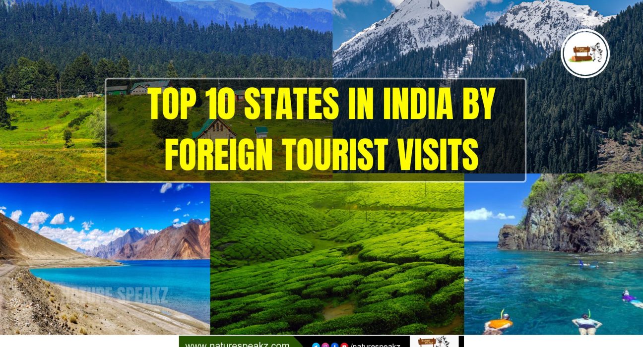 Top 10 States in India by Foreign Tourist Visits