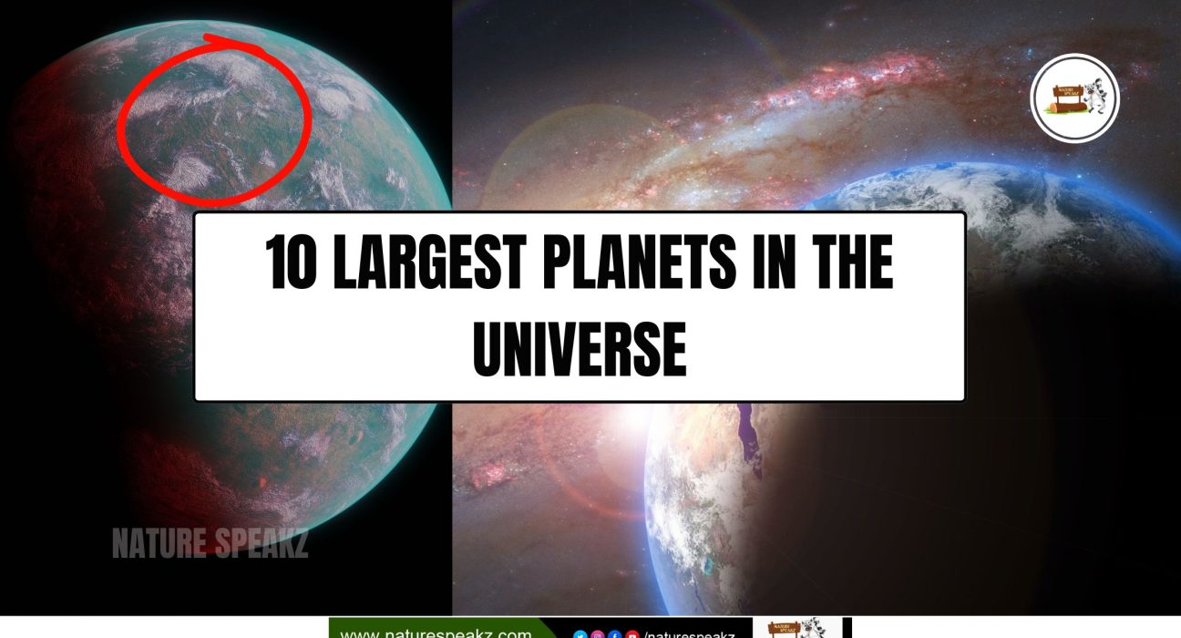 ​​10 Largest Planets In The Universe​