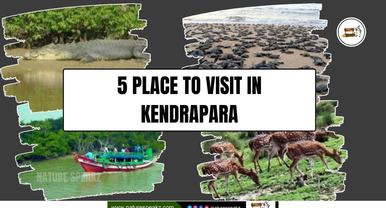 5 Place to Visit in Kendrapara