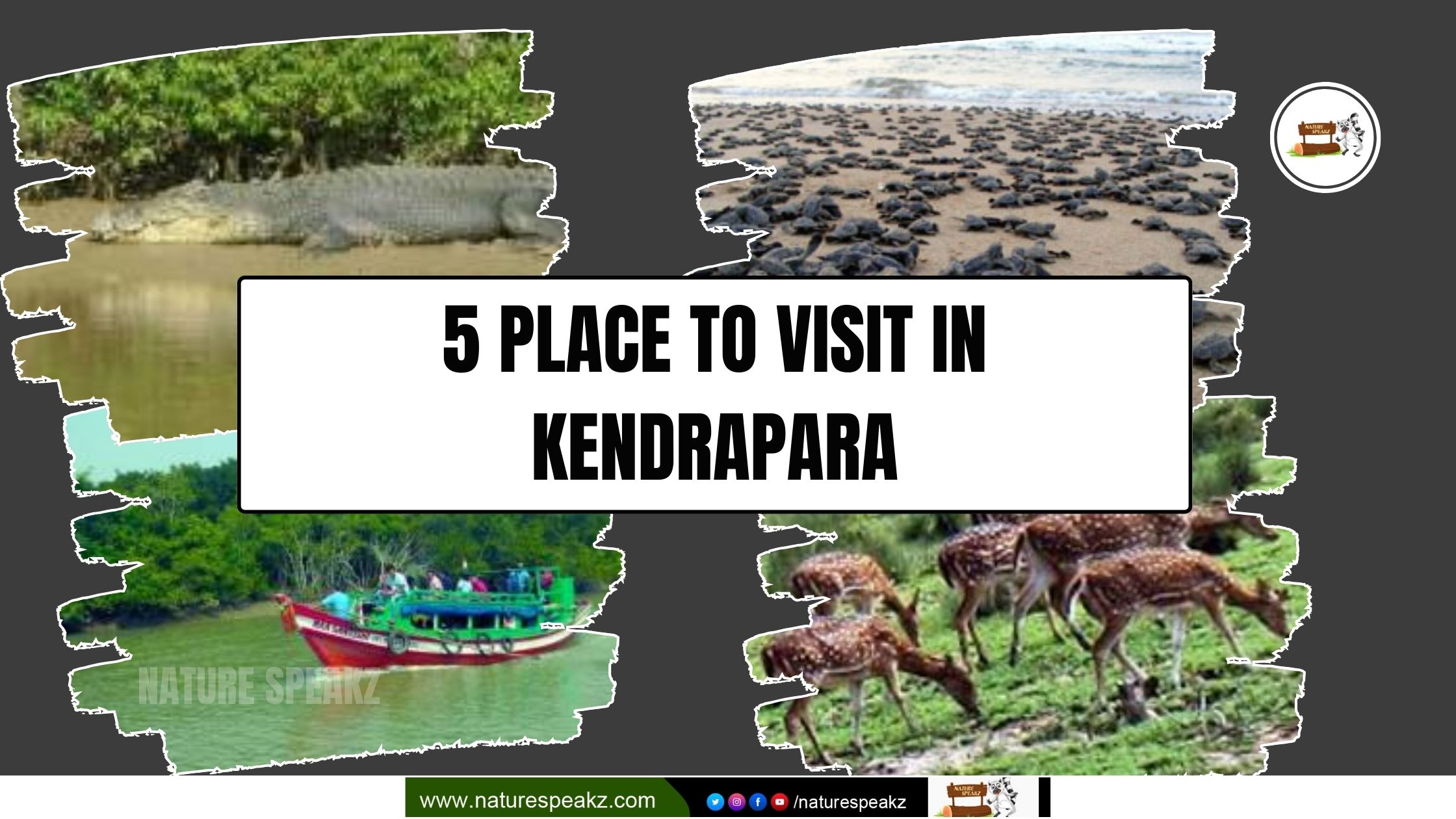 5 Place to Visit in Kendrapara