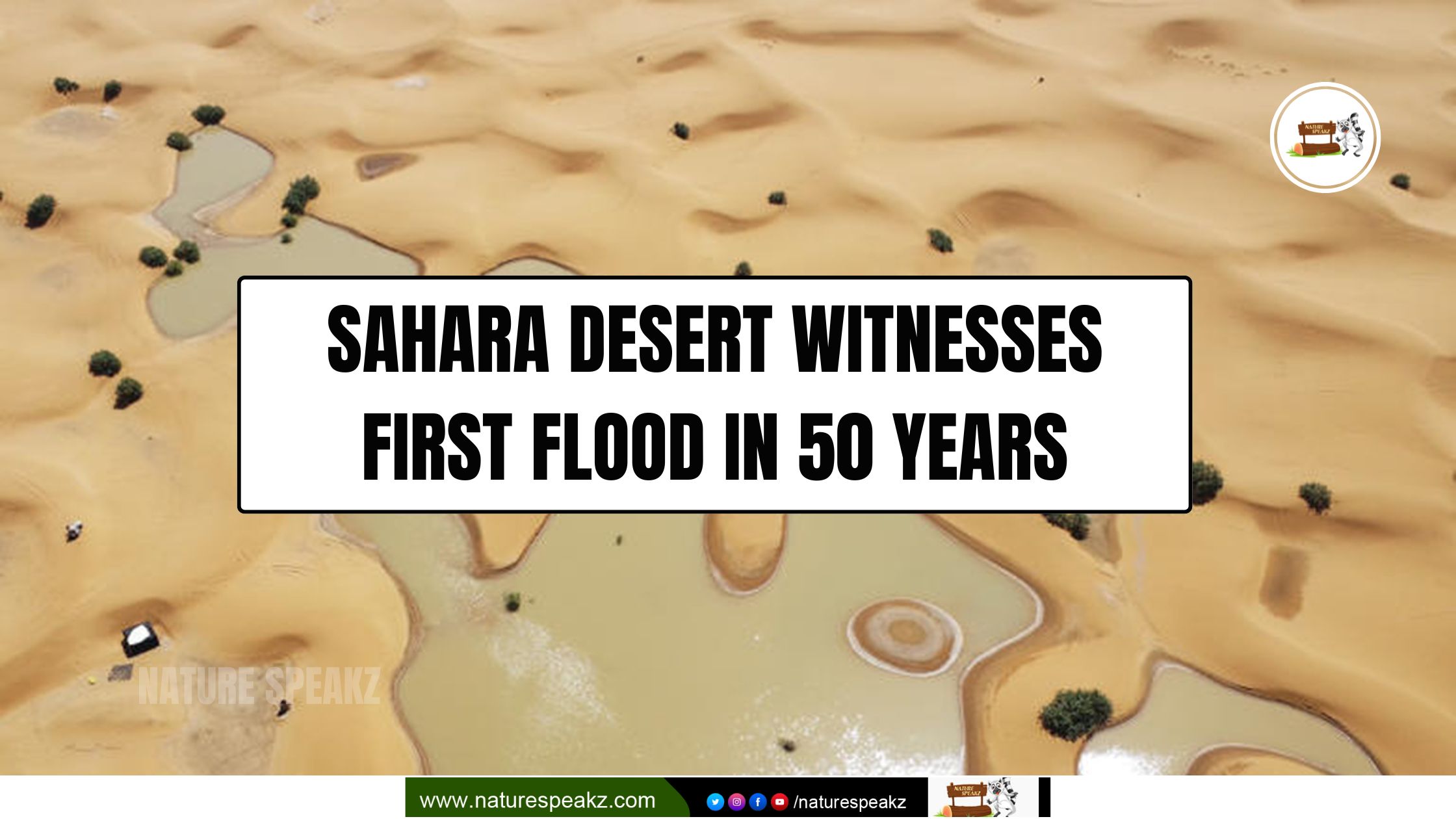 Sahara Desert witnesses First flood in 50 years