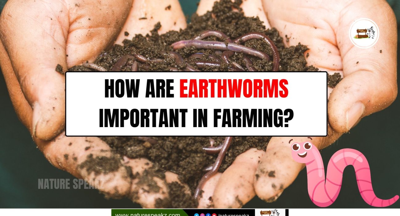 How are earthworms important in farming?