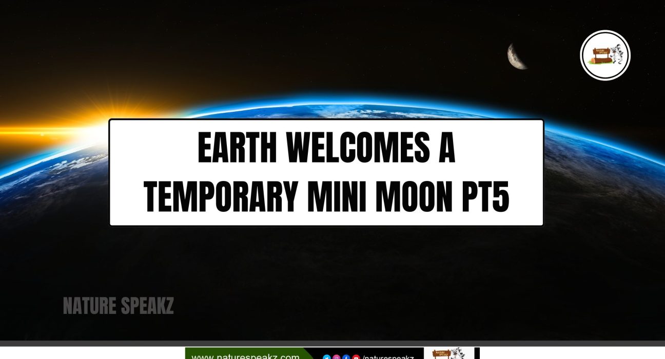 Earth Welcomes a Temporary Mini Moon PT5